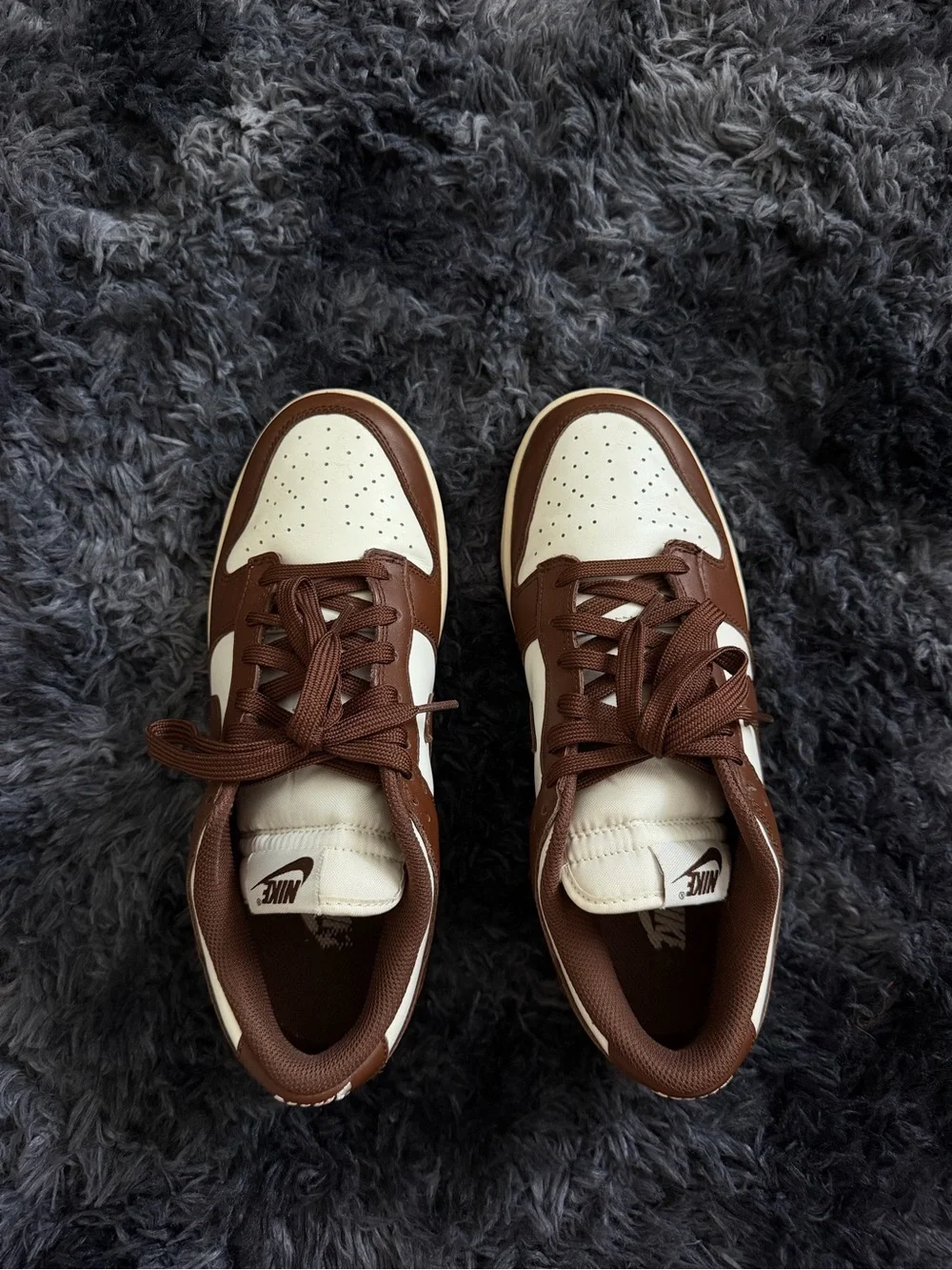 Nike Dunks Cacao Wow